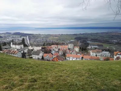 a view of a town from a hill at Pizzeria-Pension Gambrinus in Walzenhausen