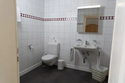 a bathroom with a toilet and a sink at Gasthof Zur Traube in Roggwil