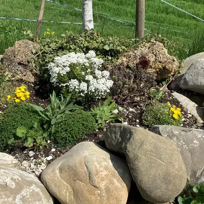 a garden with flowers and rocks in a yard at Sitter-Panorama in Bischofszell