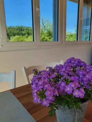 a vase filled with purple flowers sitting on a table at Sitter-Panorama in Bischofszell