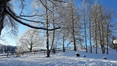 a snow covered field with trees and a fence at Ferienhotel Idyll Gais in Gais
