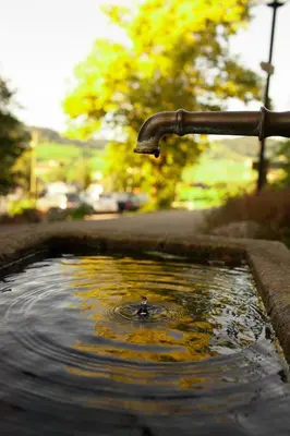 a water faucet pouring water into a pond at Ferienhotel Idyll Gais in Gais