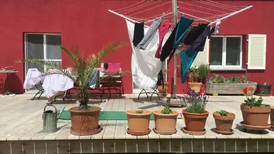 a group of potted plants in front of a red building at BnB chezlise in Urnäsch