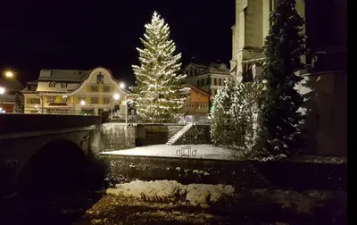 a christmas tree with lights in a city at night at Adler Hotel in Appenzell