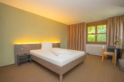a bedroom with a bed and a desk and a window at Hotel Restaurant Seegarten in Arbon