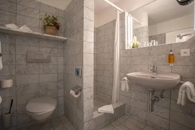 a bathroom with a sink and a toilet at Hotel Restaurant Seegarten in Arbon