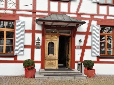 a wooden door on a building with two plants at Hotel Brauerei Frohsinn in Arbon