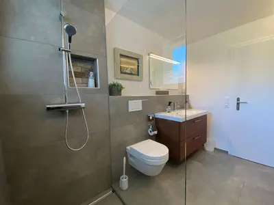 a bathroom with a shower and a toilet and a sink at Lakelodge Romanshorn in Romanshorn