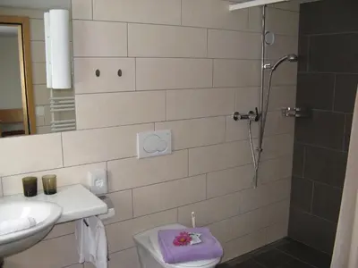 a bathroom with a shower and a sink and a toilet at Waldgasthaus Lehmen in Weissbad