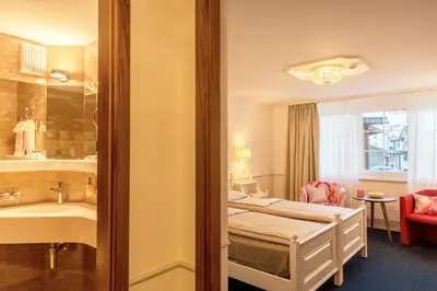 a hotel room with a bed and a sink at Hotel Appenzell in Appenzell