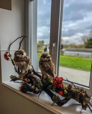 two birds sitting on a window sill with flowers at Trompeterschlössle Hotel & Residence in Tägerwilen