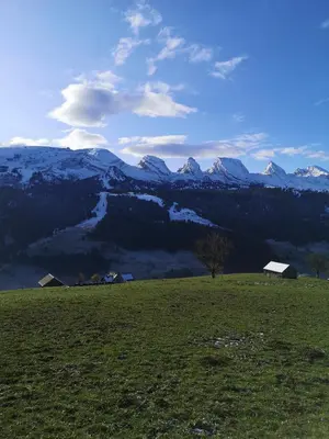 a green field with snow capped mountains in the background at Stofel 2078 in Unterwasser