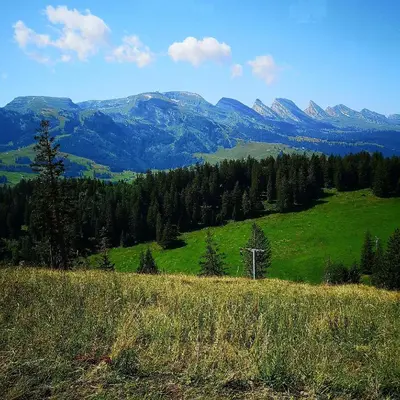 a green field with mountains in the background at Stofel 2078 in Unterwasser
