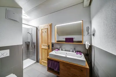 a bathroom with a sink and a shower and a mirror at Hotel Landgasthof Eischen in Appenzell