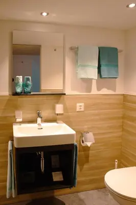 a bathroom with a sink and a toilet and a mirror at Hotel Landgasthaus Neues Bild, Eggerstanden in Appenzell