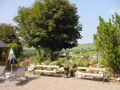a group of benches in a garden with a tree at Hotel Restaurant Belvedere in Weissbad