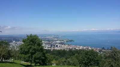 a view of a city and the water from a hill at Haus Basilea in Wolfhalden
