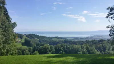 a green hillside with a view of a lake at Haus Basilea in Wolfhalden