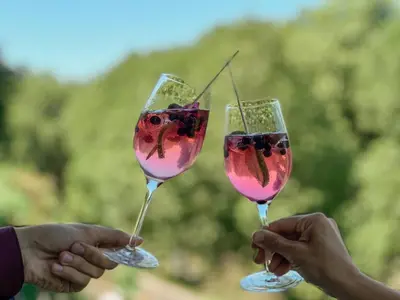 two people holding up two glasses of wine at Schloss Wartegg in Rorschacherberg