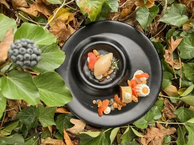 a black plate with food on the ground with leaves at Schloss Wartegg in Rorschacherberg