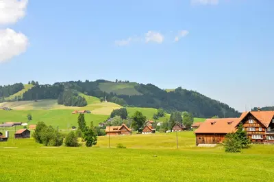 a large green field with houses and a mountain at Bären - Das Gästehaus in Gais