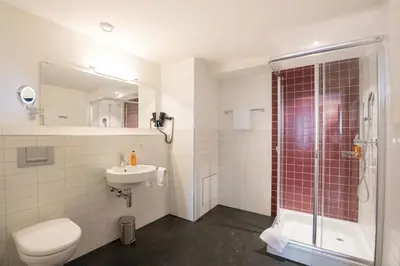 a bathroom with a shower and a toilet and a sink at Hotel Le Lion - Self Check-in in Bischofszell