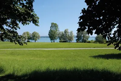 a field of green grass with trees in the background at Kreuzlingen Youth Hostel in Kreuzlingen