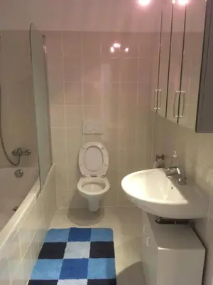 a bathroom with a toilet and a sink at Bodensee Moosburg Biohof am See in Güttingen