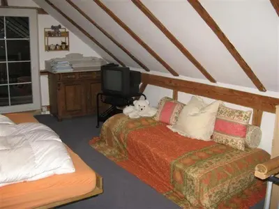a bedroom with two beds and a tv in a attic at Bodensee Moosburg Biohof am See in Güttingen