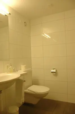 a white bathroom with a toilet and a sink at Landgasthof Sternen in Bühler