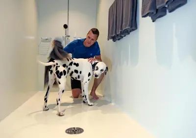 a man sitting next to a dog in a bathroom at Lodge Hof Weissbad in Weissbad