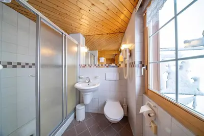 a bathroom with a toilet and a shower and a sink at Hotel und Restaurant Chäseren in Schönengrund