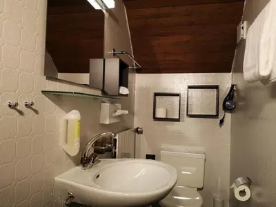 a bathroom with a sink and a toilet and a mirror at Gasthaus Friedegg in Wildhaus