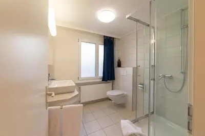 a bathroom with a toilet and a glass shower at Lisighaus in Wildhaus