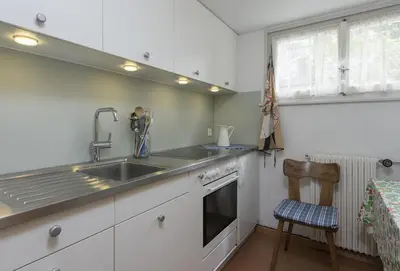 a kitchen with a sink and a dishwasher at Chalet Ritornell in Wildhaus