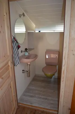 a bathroom with a sink and a toilet and a mirror at Hof-Tschannen in Lengwil
