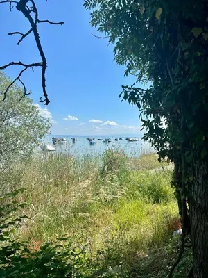 a view of the water from the shoreline at Hotel Restaurant Pizzeria Rotes Haus in Landschlacht Gemeinde Münsterlingen
