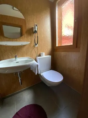 a bathroom with a toilet and a sink and a mirror at Hotel Restaurant Pizzeria Rotes Haus in Landschlacht Gemeinde Münsterlingen