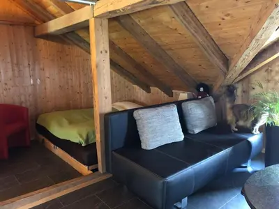 a living room with a couch and a bed at BnB Haag in Haag
