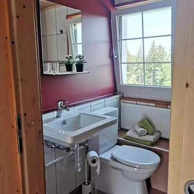 a bathroom with a toilet and a sink and a window at Gasthaus Fuchsacker in Degersheim