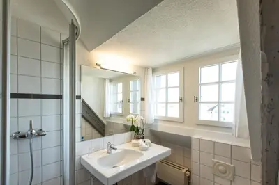 a bathroom with a sink and a mirror at Hotel de Charme Römerhof in Arbon