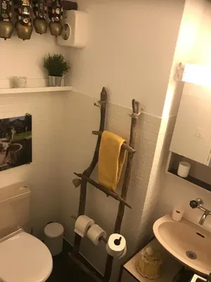 a bathroom with a white toilet and a sink at Sonnastuba in Wildhaus