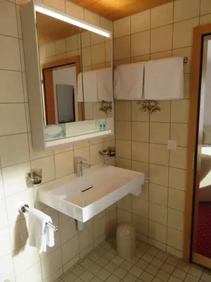 a bathroom with a sink and a mirror at Landhaus an der Thur in Alt Sankt Johann