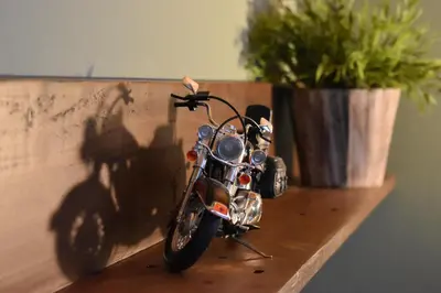 a motorcycle sitting on a table next to a potted plant at Gasthaus Sternen in Degersheim