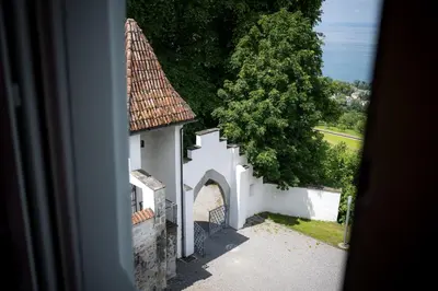 a view of a white building with a tree at Schloss Wartensee in Rorschacherberg