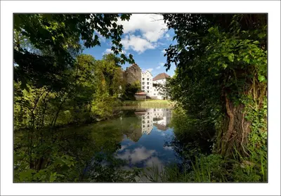 a view of a river with a building in the background at Schloss Wartensee in Rorschacherberg