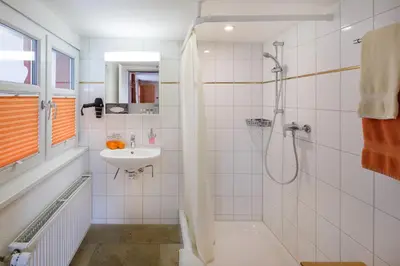 a white bathroom with a shower and a sink at Historische Residenz Lindeneck in Güttingen