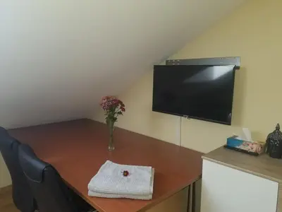 a vase of flowers on a table with a tv at Studio direkt am Bodensee in Thal