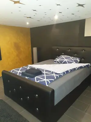 a bedroom with a large bed with a black headboard at Grosses Apartement 2 Schlafzimmer am Bodensee in Arbon
