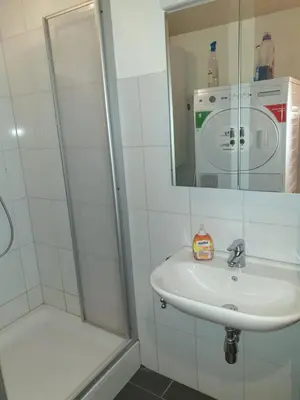 a bathroom with a sink and a shower at 3 Doppel Zimmer Apartement in 9320 Arbon in Arbon